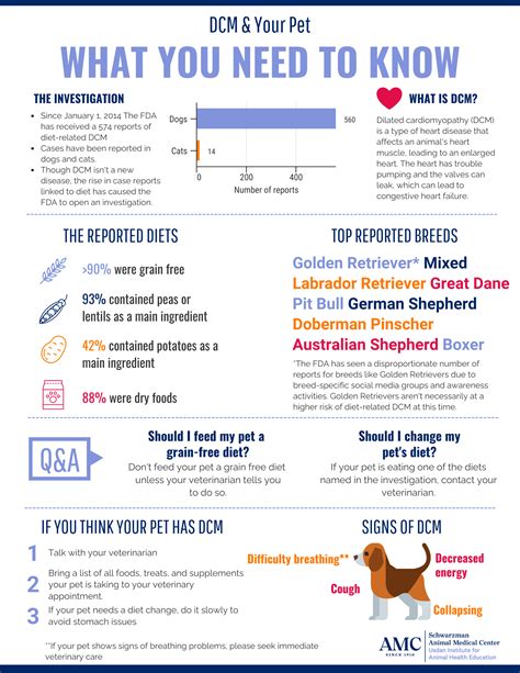 what causes dcm in dogs